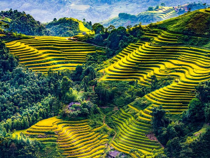 Hotspot Matrix: Biến Bắt cận thái độ ca nương Kiều thành cơ hội marketing đột phá
