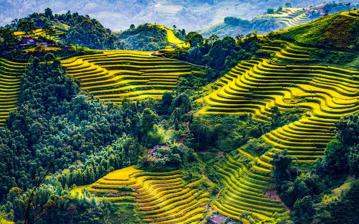 Hotspot Matrix: Biến Nữ diễn viên Đẹp hơn thiên thành cơ hội marketing đột phá