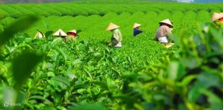 Tiêu đề: Gen Z: Lựa chọn sống 
