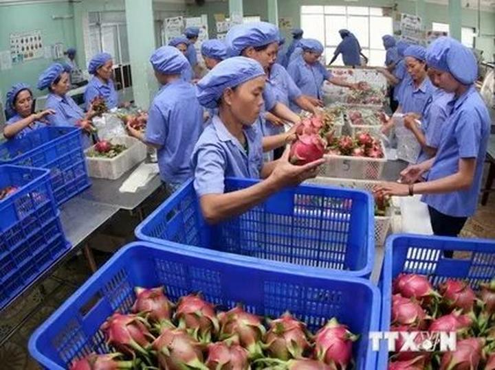 Từ Khuyết Tật Đến Triệu View: Câu Chuyện Cảm Hứng Của Tuấn Anh