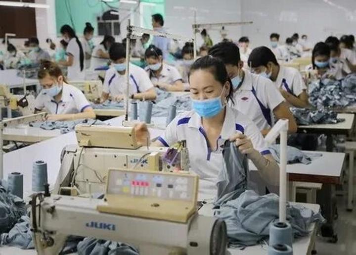 Video ngắn: Cánh đồng lời kể, nông sản sạch
