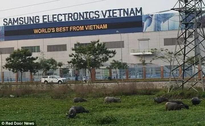 Cô giáo mầm non và hành trình đổi đời nhờ Hotspot Matrix